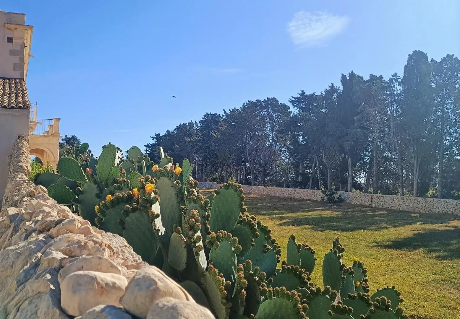 Alojamento de Turismo Rural Ballium Luxury Relais Avola